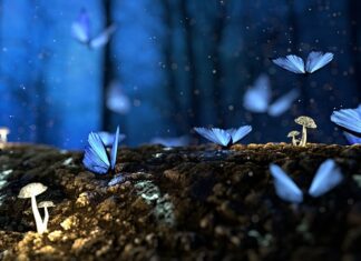 Jak zrobić płaski dach z drewna?