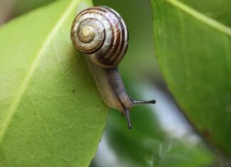 Jak podłączyć czujnik obecności?