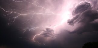 Ile kosztuje punkt elektryczny bez materiału?