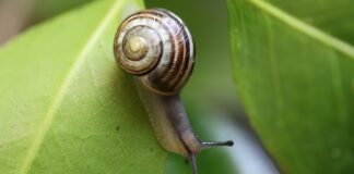 Jaki zasięg ma czujnik ruchu?