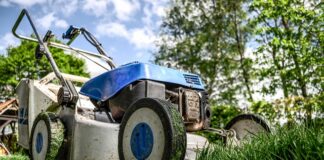 Jak dobrać kosz do kosiarki?
