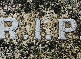 Czy czujka PIR działa przez szybę?