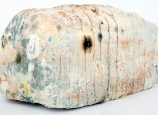 Jak zdezynfekować deskę do krojenia? Jak zdezynfekować deskę do krojenia?